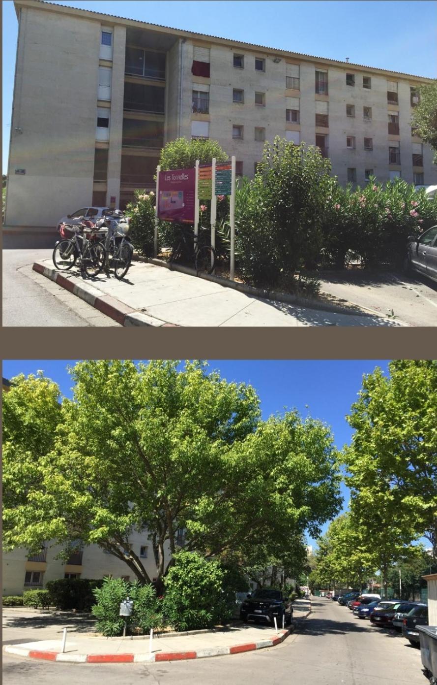 Studio 50M Tram Parking Gratuit 13Min Gare Montpellier Exterior photo